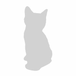 Minskin Breed Photo