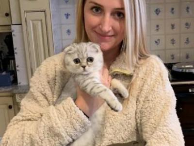 LUXURY SCOTTISH FOLDS - Scottish Fold - Gallery Photo #1
