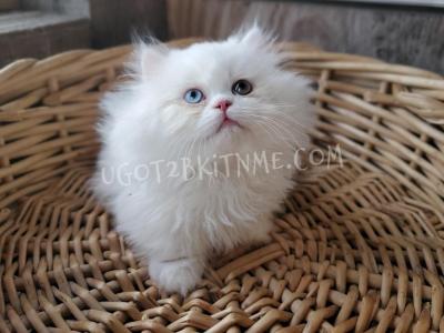 Minuets Reserve Yours Now - Minuet - Gallery Photo #1