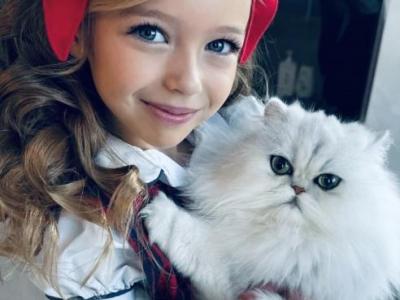 Beautiful Chinchilla Silver Persians - Persian - Gallery Photo #1