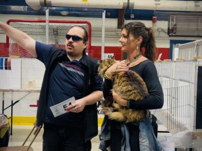 Stud Services - Maine Coon - Gallery Photo #1