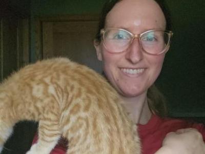 Orange Bengal Male Kitten Rare - Bengal - Gallery Photo #1