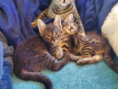 Penelope - Savannah - Gallery Photo #1