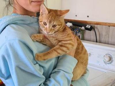 Half Savannah - Savannah - Gallery Photo #1