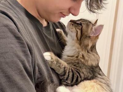 Mike Special Pricing - Siberian - Gallery Photo #1