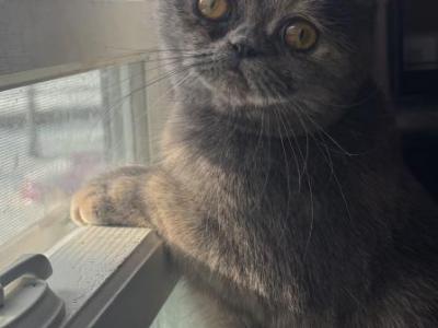 Candy - Exotic - Gallery Photo #1