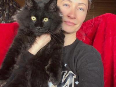 Polydactyl Black Silver BINGO - Maine Coon - Gallery Photo #1