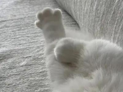 Ariel Kilt Half Off Now - Munchkin - Gallery Photo #1