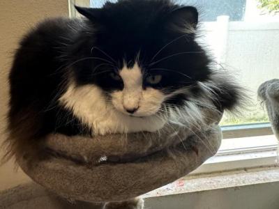 Skittles - Domestic - Gallery Photo #1