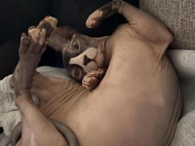 Raisin And Apricot - Domestic - Gallery Photo #1