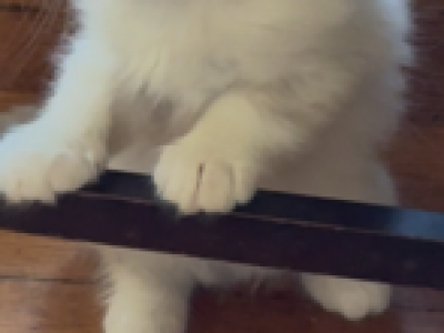 Annie And Alex Munchkin - Munchkin - Gallery Photo #1