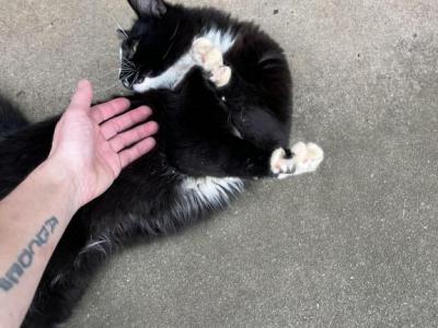 Slouch - Domestic - Gallery Photo #1