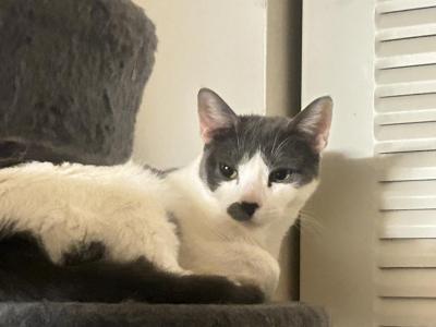 Chanel - Domestic - Gallery Photo #1