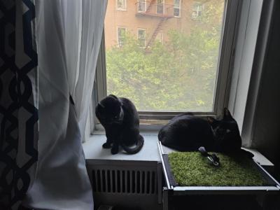 Bob & Marley - Bombay - Gallery Photo #1