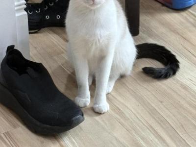 Ava - Snowshoe - Gallery Photo #1