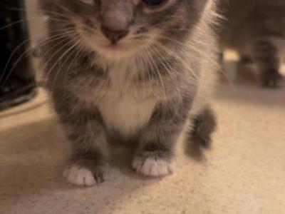 Not Named - Domestic - Gallery Photo #1