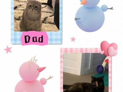 Munchkin Gene Kitties - Munchkin - Gallery Photo #1