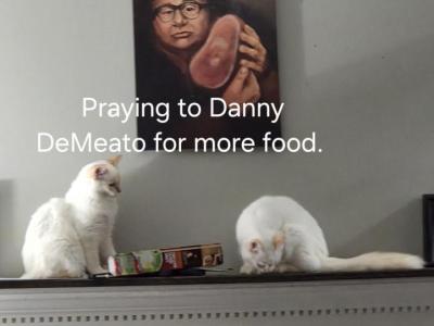 These Babies Are On Fire - Munchkin - Gallery Photo #1