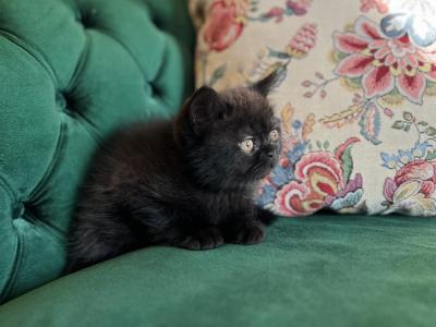 GusGus - Exotic - Gallery Photo #1