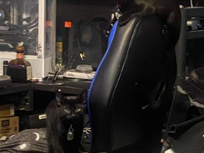 Smoke And Stack - Domestic - Gallery Photo #1