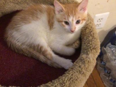 Littles Bugs - Domestic - Gallery Photo #1