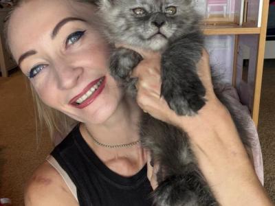 Polydactyl Black Smoke - Maine Coon - Gallery Photo #1