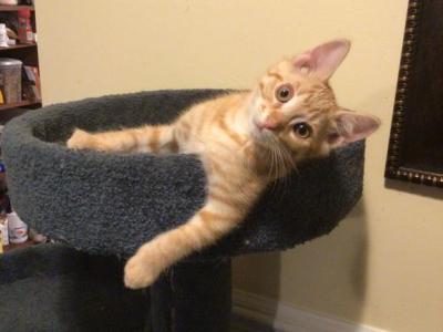 Littles Bugs - Domestic - Gallery Photo #1