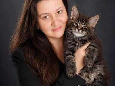 European Black Tabby Maine Coon Boy - Maine Coon - Gallery Photo #1