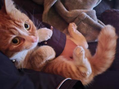 Peaches - Domestic - Gallery Photo #1