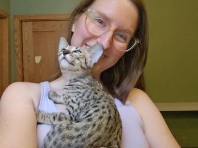 Savannah Kittens Old Enough For New Homes - Savannah - Gallery Photo #1