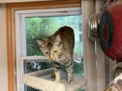Itzy - Domestic - Gallery Photo #1