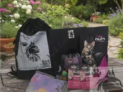 Vada Littles - Maine Coon - Gallery Photo #1