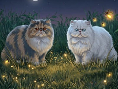 Adorable Babies - Persian - Gallery Photo #1