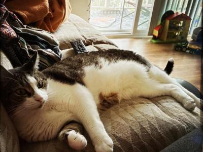 Nobu - Domestic - Gallery Photo #1