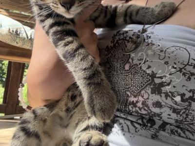 Don't Have Names Yet - Domestic - Gallery Photo #1