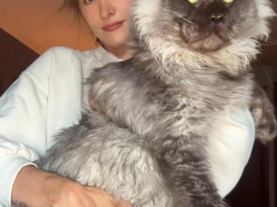 Huxley Black Smoke Male - Maine Coon - Gallery Photo #1