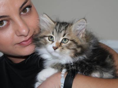 Mindy - Siberian - Gallery Photo #1