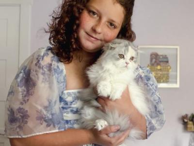 Scottish Fold Longhair Blue Bicolor Girl - Scottish Fold - Gallery Photo #1