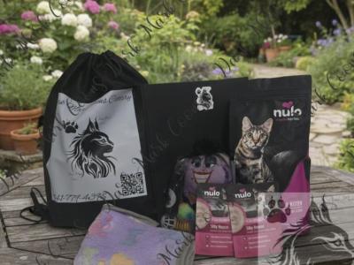 Zeldas Littles - Maine Coon - Gallery Photo #1