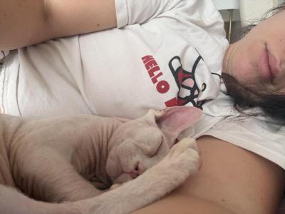 Kiwi - Domestic - Gallery Photo #1