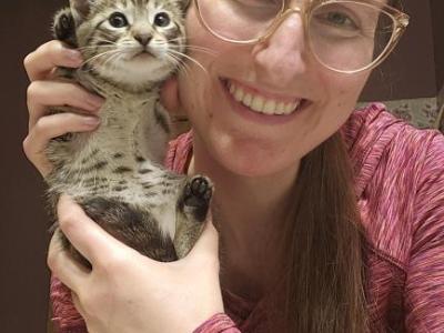 F4 Caracat Chausie Bengal Kittens - Bengal - Gallery Photo #1