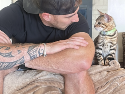 Zebediah - Bengal - Gallery Photo #1