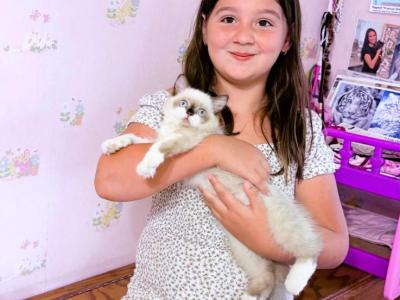 Panda & Horizon Ragamuffins - Ragamuffin - Gallery Photo #1
