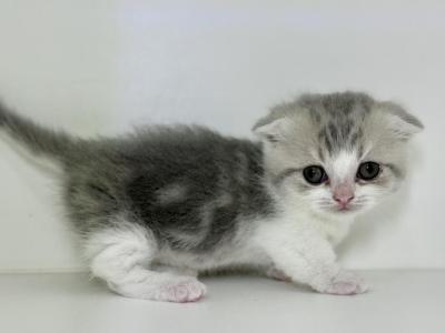 Camilla X Otto Babies - Munchkin - Gallery Photo #1