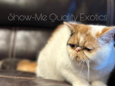 Frannie - Exotic - Gallery Photo #1