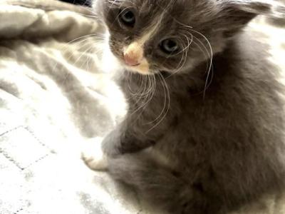 Sky - Domestic - Gallery Photo #1