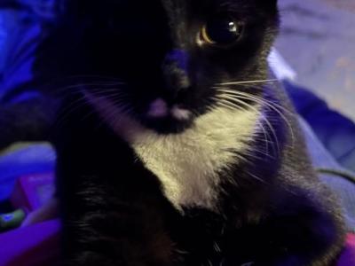 Boots - Domestic - Gallery Photo #1