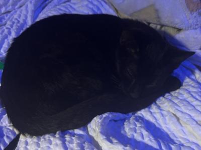 No Name - Domestic - Gallery Photo #1