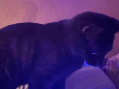 No Names - Domestic - Gallery Photo #1
