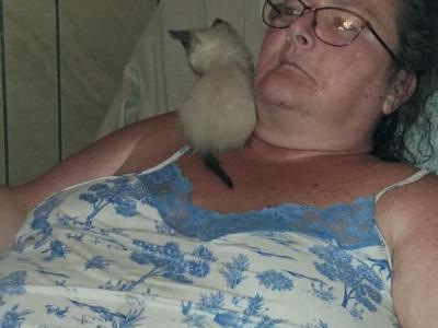 Precious - Siamese - Gallery Photo #1